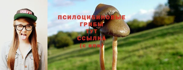 амф Арсеньев