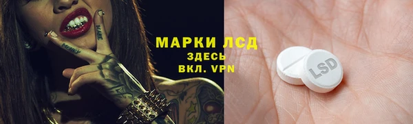 прущие грибы Армянск