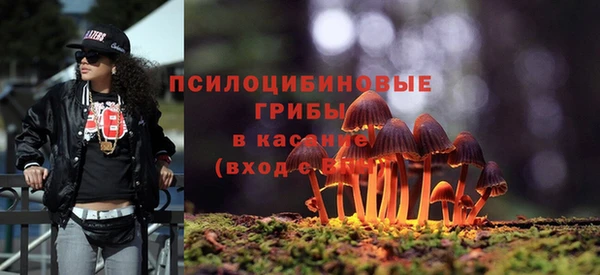 прущие грибы Армянск