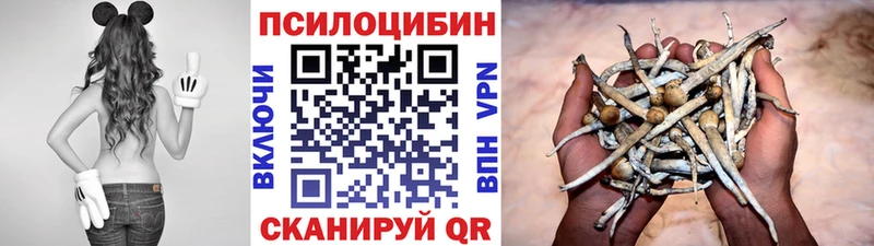 Галлюциногенные грибы прущие грибы  Белая Холуница 